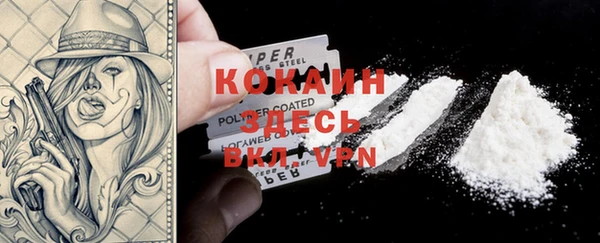 ПСИЛОЦИБИНОВЫЕ ГРИБЫ Абаза