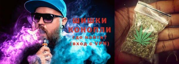 ПСИЛОЦИБИНОВЫЕ ГРИБЫ Абаза